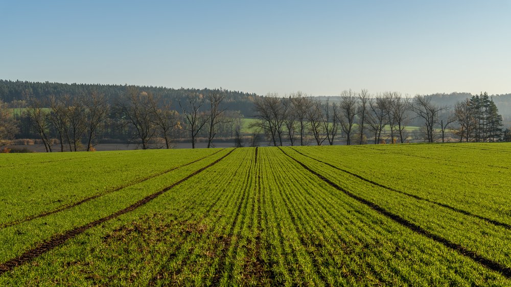 ämter für ernährung landwirtschaft und forsten