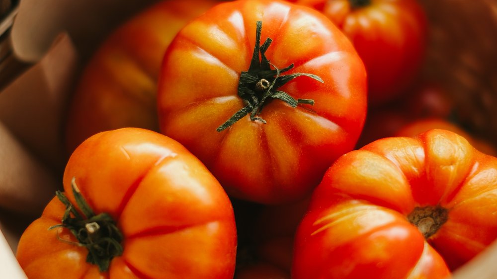 basisch ernähren buch