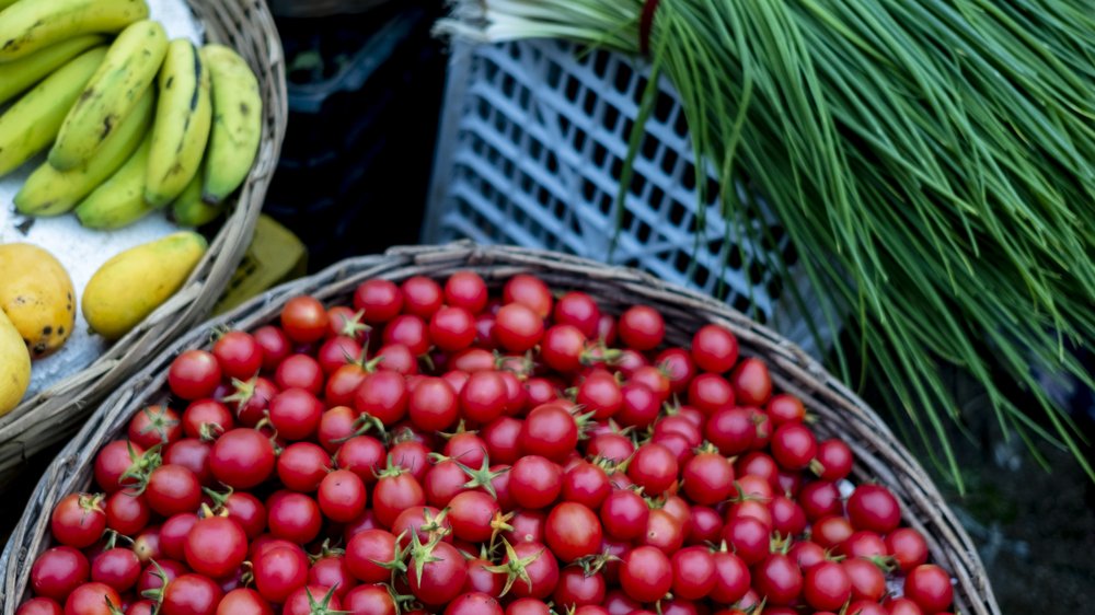 nummuläres ekzem ernährung